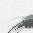 ִҵʿ
