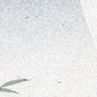 ʽ/ʽʦ